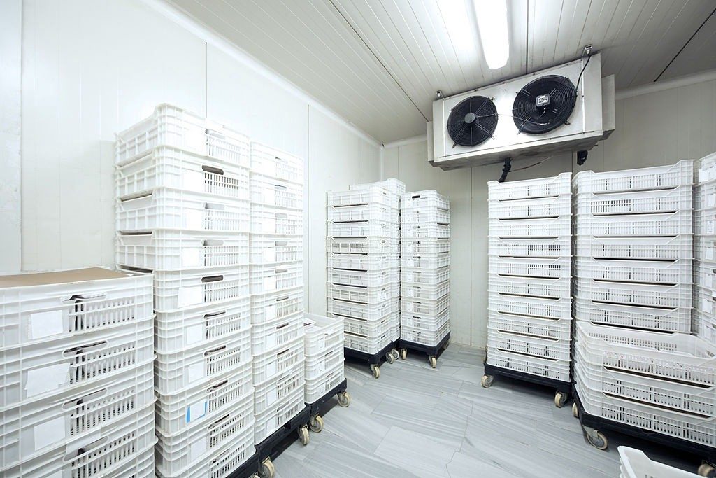 Thinking of Investing in Cold Room Installation? Six Reasons Why It Can Benefit Your Business