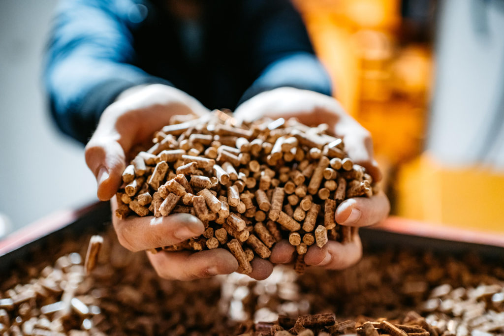 What is Biomass and How Can it Be Used to Heat Your Home?
