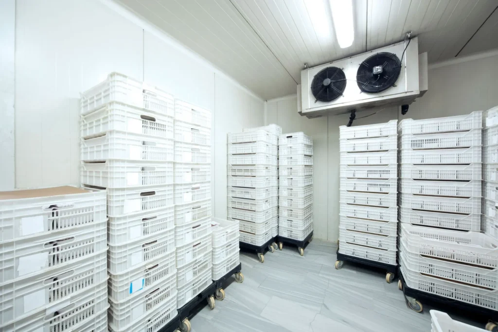 How Walk In Cold Rooms Improve Food Safety & Storage